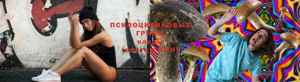 крисы Балабаново