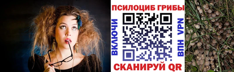 Псилоцибиновые грибы прущие грибы Ульяновск