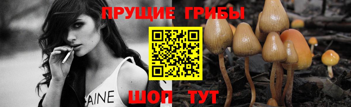 магазин продажи   Вход с VPN  Ульяновск  Галлюциногенные грибы Psilocybe 