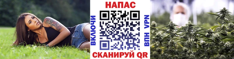 Каннабис VHQ  сколько стоит  Ульяновск 