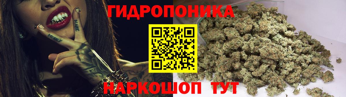 МАРИХУАНА семена Ульяновск